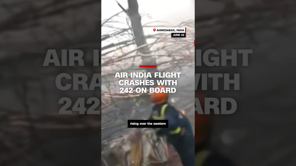 Air India flight crashes with 242 on board
