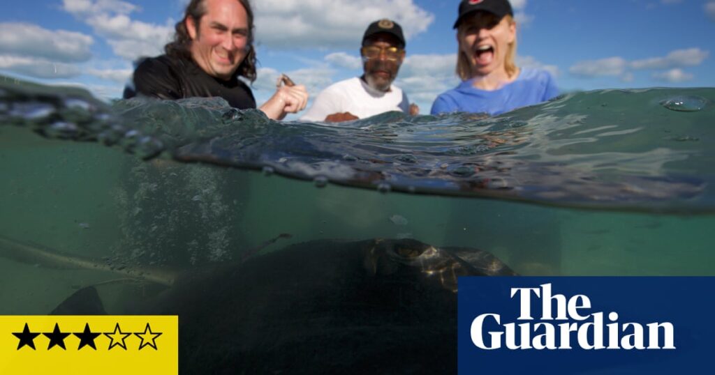 Shark! Celebrity Infested Waters review – a lovely watch … despite the stars’ total fear and panic | Television & radio