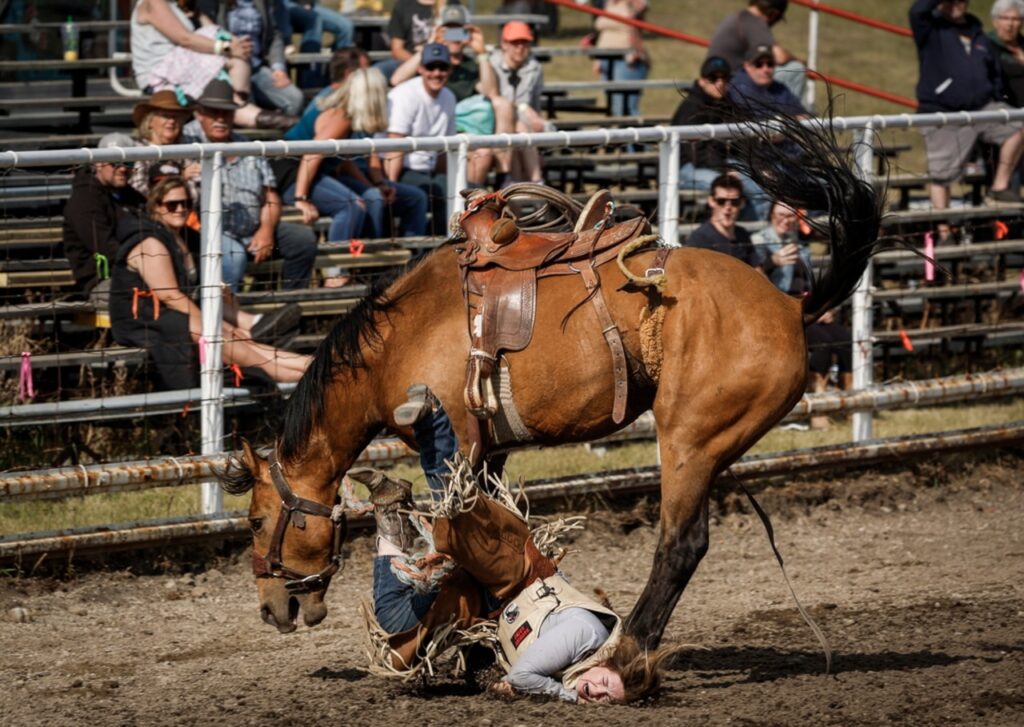 Women competitors buck trend, look to grow rodeo sport of ranch bronc riding