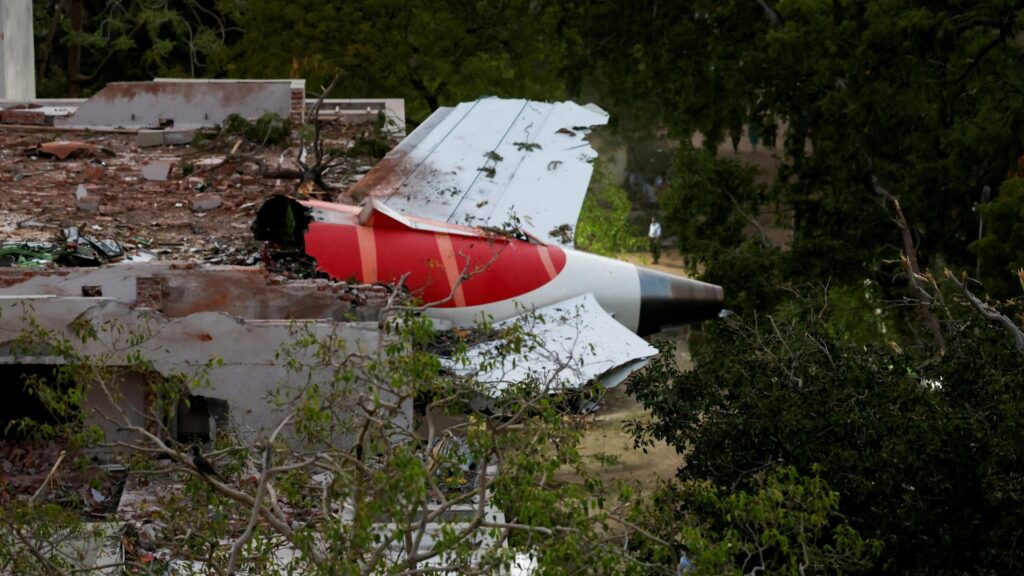 All Indian aircraft ordered to check vital fuel switches behind jet crash – amid fears disaster was pilot suicide