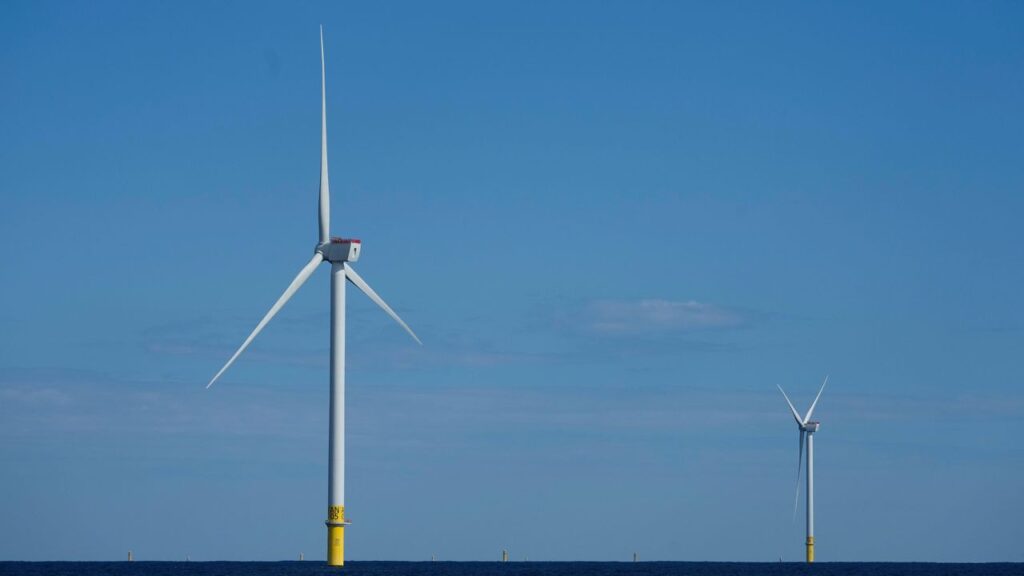 Trump admin cancels plans for new offshore wind projects