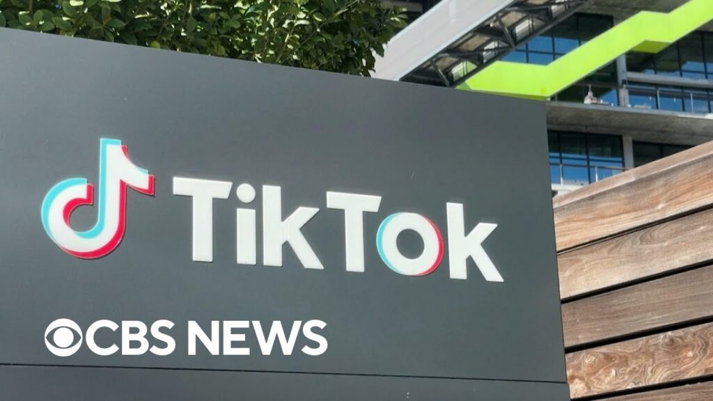 Court documents reveal TikTok owners knew app’s impact on children’s mental health
