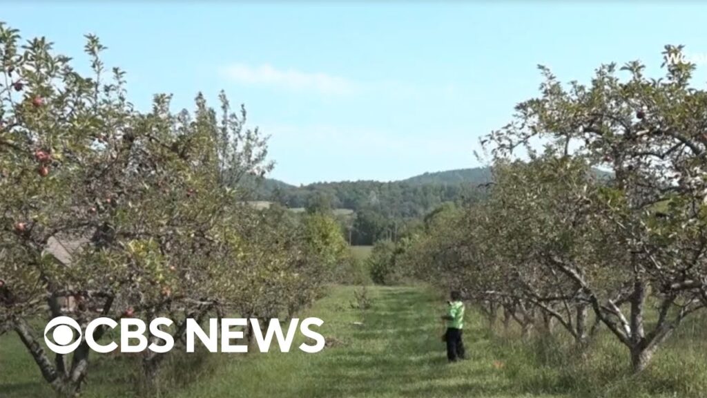 National Farmer’s Day presented by Land O’Lakes | The Uplift