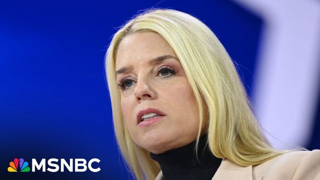 ‘We should breathe a little sigh of relief’: Trump swaps out Matt Gaetz for Pam Bondi for AG