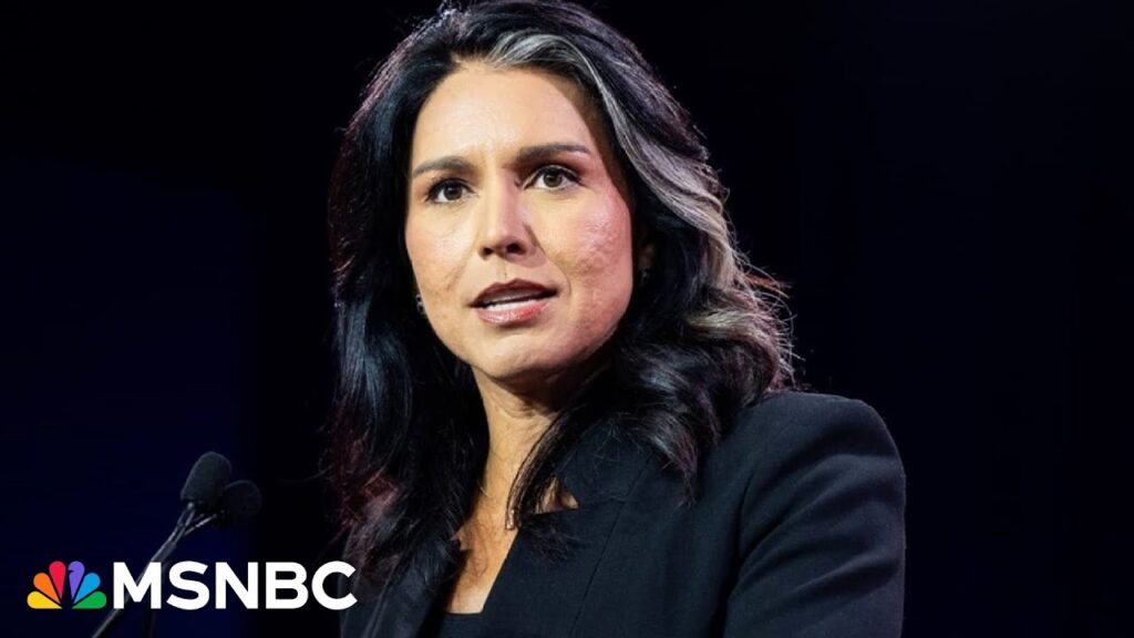 Director of national intelligence requires ‘absolute objectivity’: Steve Israel slams Gabbard