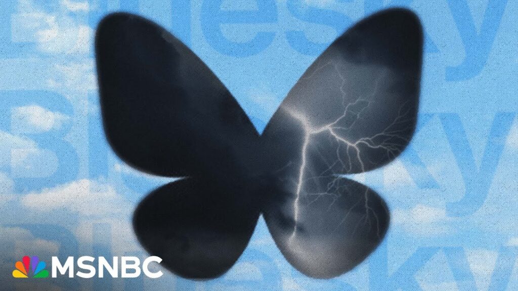 ‘It’s like [Elon] moved into my phone and now I have to leave’: Leaving X for Bluesky