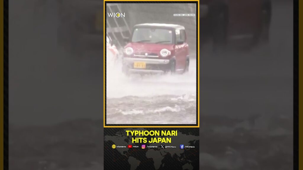 Typhoon Nari: Heavy Rain Pummels Japan’s Hokkaido After Typhoon Nari Makes Landfall | WION News