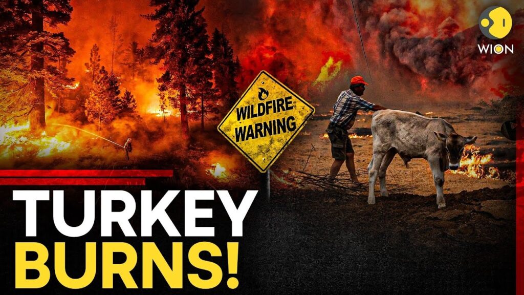 Turkey Wildfires LIVE: Wildfire Kills At Least 10 Forest Workers And Rescuers Battling Blaze
