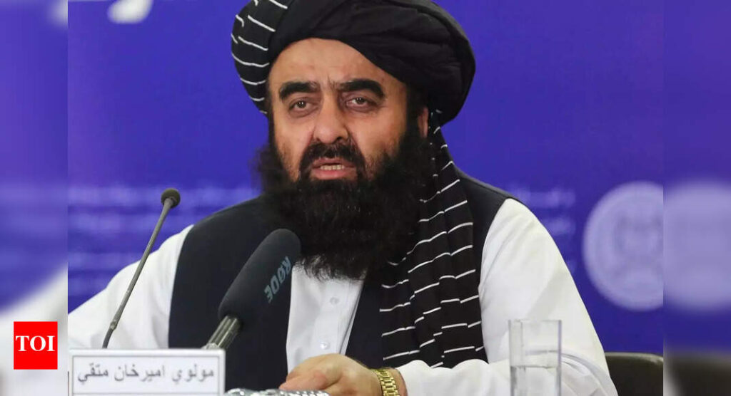 Afghanistan FM’s Pakistan visit blocked: US allegedly rejects travel ban exemption; growing Taliban – China ties under scanner | World News