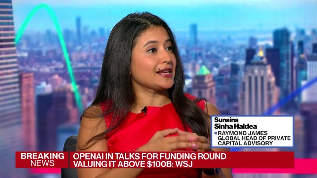 Raymond James’ Haldea on the State of Private Equity
