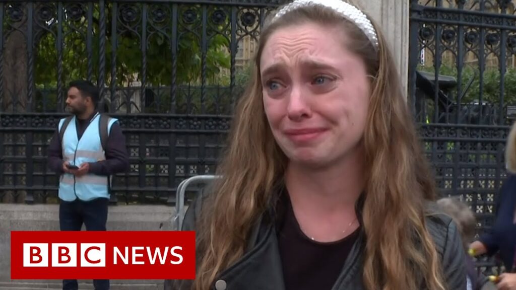 Mourners travel to view Queen lying in state from across world – BBC News