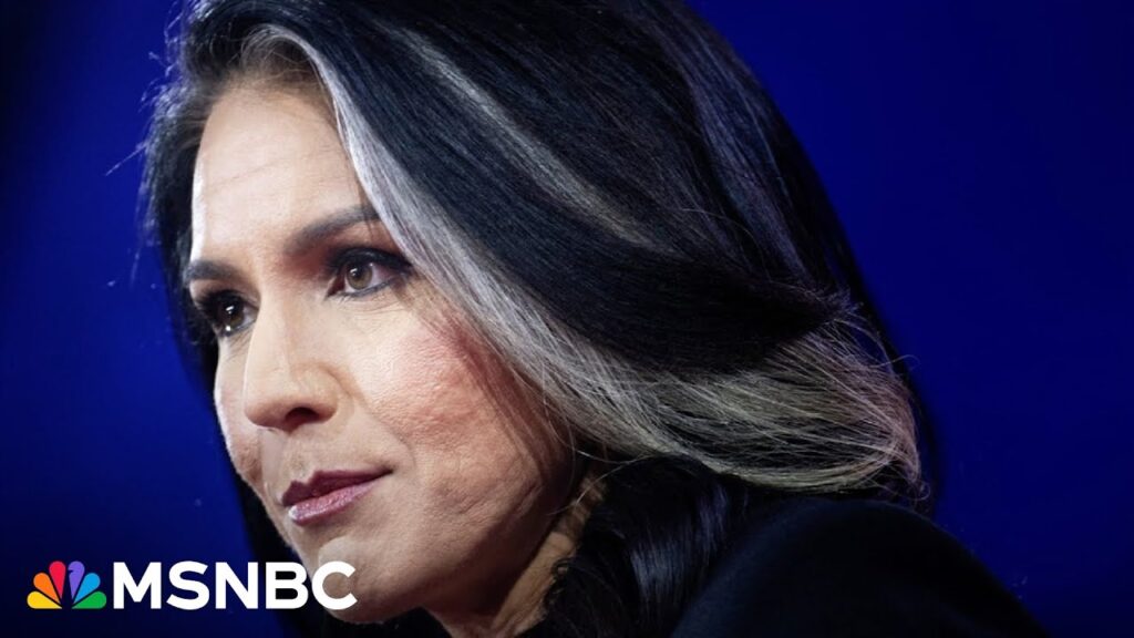 ‘Christmas tree of warning lights’: Atlantic writer sounds alarm on Tulsi Gabbard pick for DNI