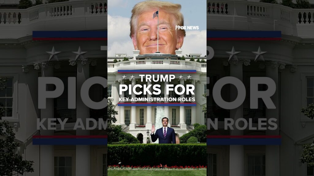 Meet Trump’s Cabinet picks