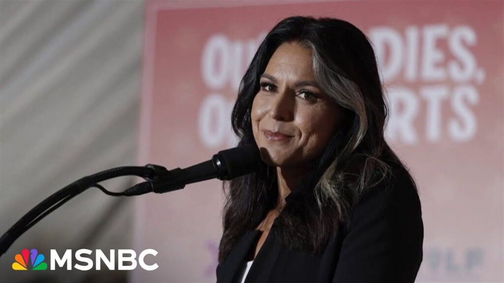 Nicolle Wallace on Tulsi Gabbard’s nomination: ‘She’s made a career defending America’s enemies’