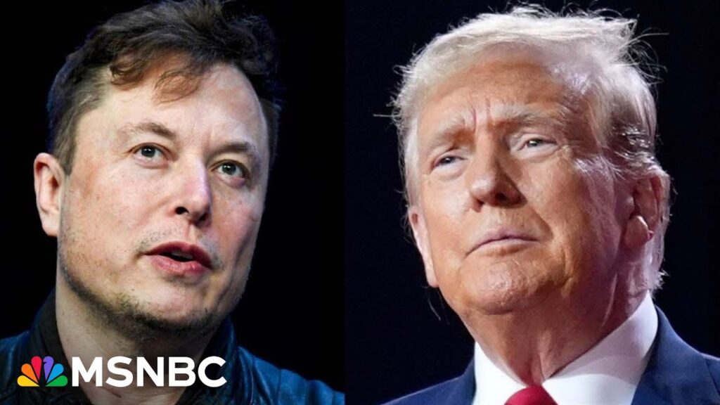 Musk’s influence over Trump is ‘tremendous’ right now