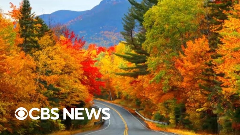How climate change is impacting fall foliage