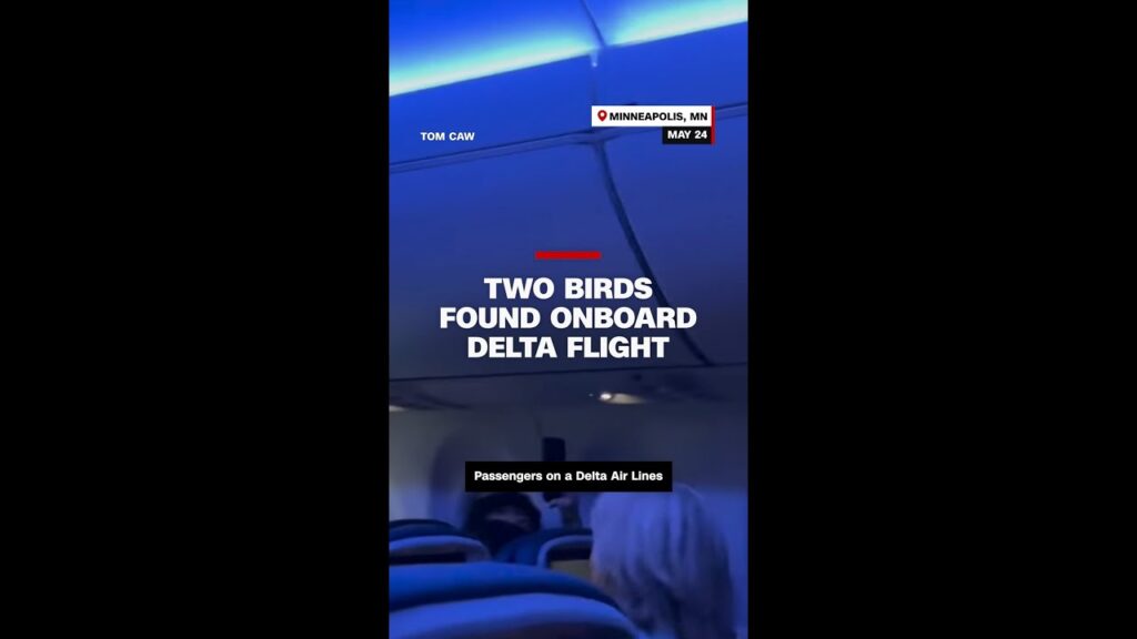 Two birds found onboard Delta flight