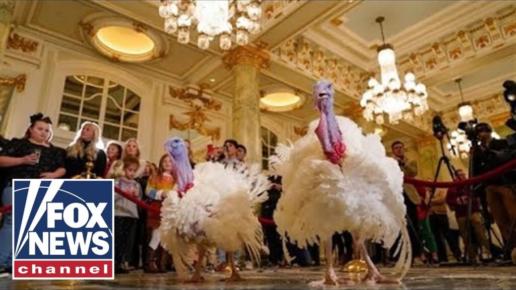 Biden pardons turkeys in White House’s annual Thanksgiving tradition