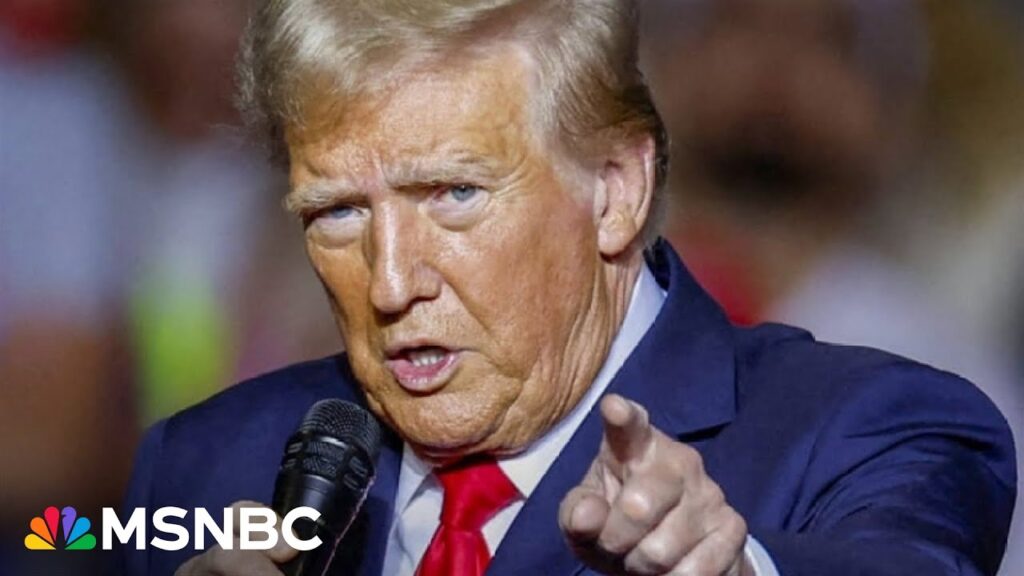 Trump picks are all about ‘MAGA loyalty’: Presidential historian reacts to transition
