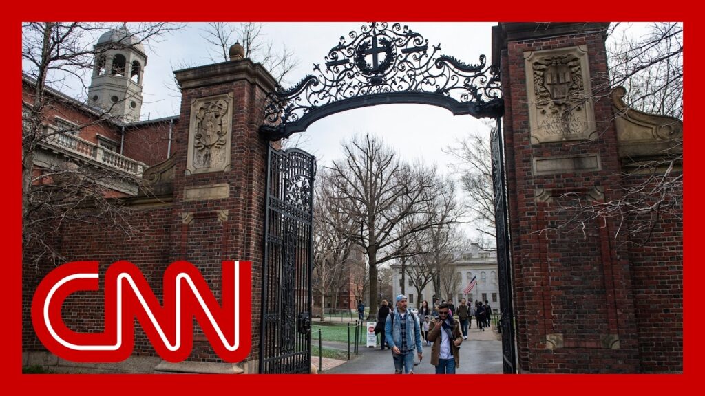 ‘Sheer uncertainty and panic’: Harvard student body co-president on Trump admin. attacks