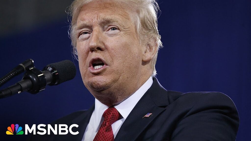 Concept of Trump’s mass deportations is ‘off base’: Immigration attorney