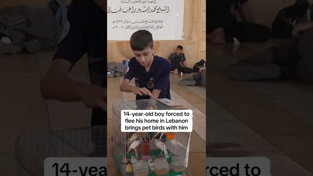 14-year-old brings pet birds with as he’s forced to flee home in Lebanon #shorts