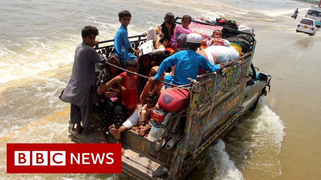 Pakistan floods are ‘a climate catastrophe’ says UN – BBC News