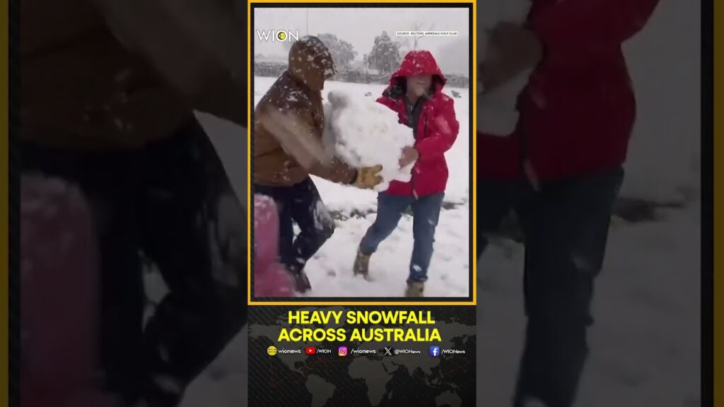 Australia: Hundreds Flock to NSW Highlands for Rare Snowfall Experience | WION Shorts