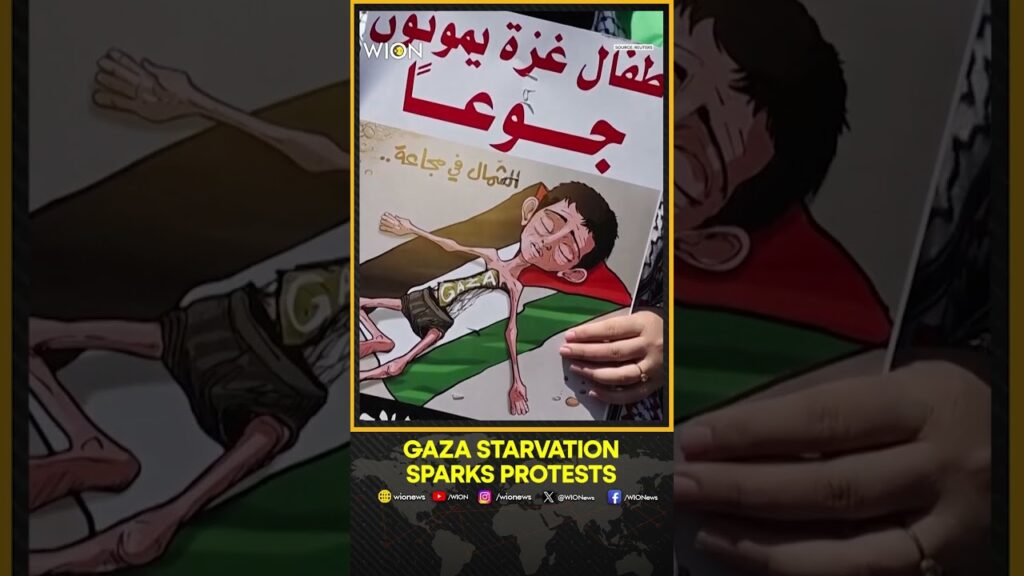 Gaza: Palestinians Protest in West Bank As Gaza Faces Starvation | WION Shorts