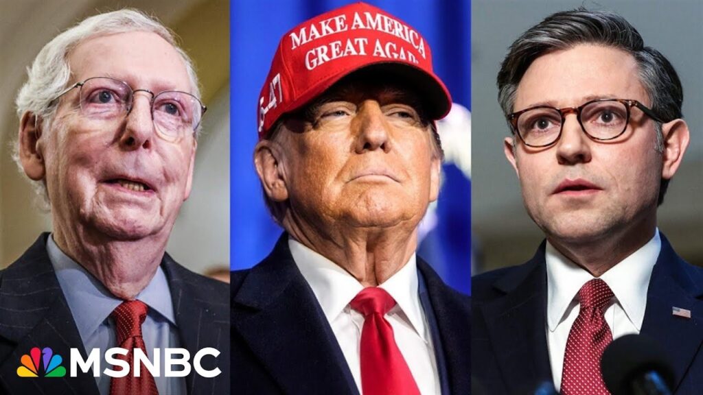 Republican Senators and Congressman ‘ready and willing’ to do Trump’s bidding: Analyst