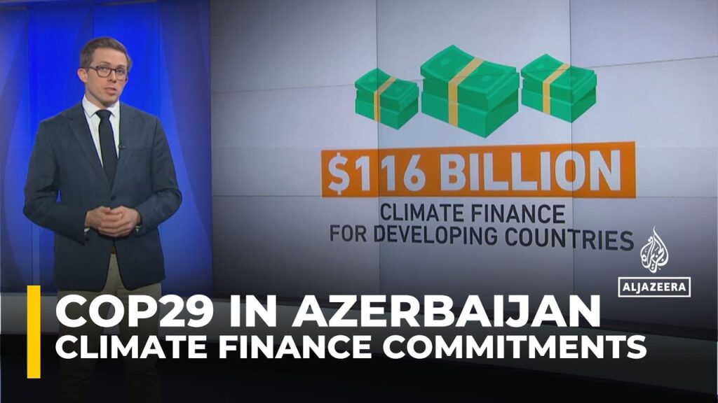 COP29 Azerbaijan: Are climate finance promises enough? | Explainer