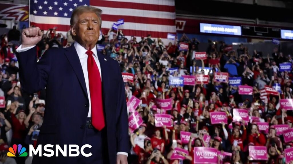 Democrats play the blame game, scapegoat minority groups after Trump’s win