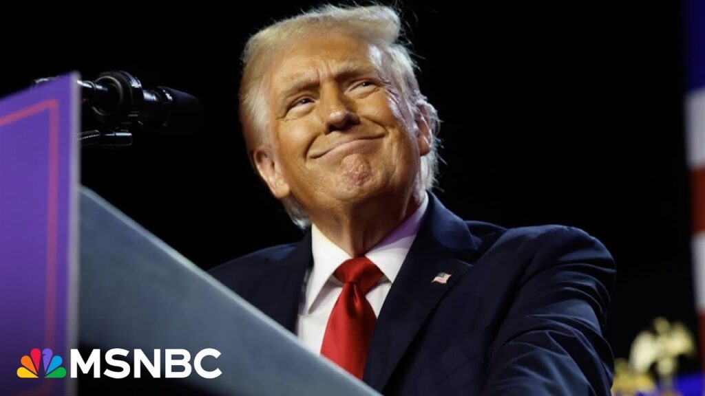 Trump is a ‘walking, living, breathing avatar’ of American frustration: Obama WH speechwriter