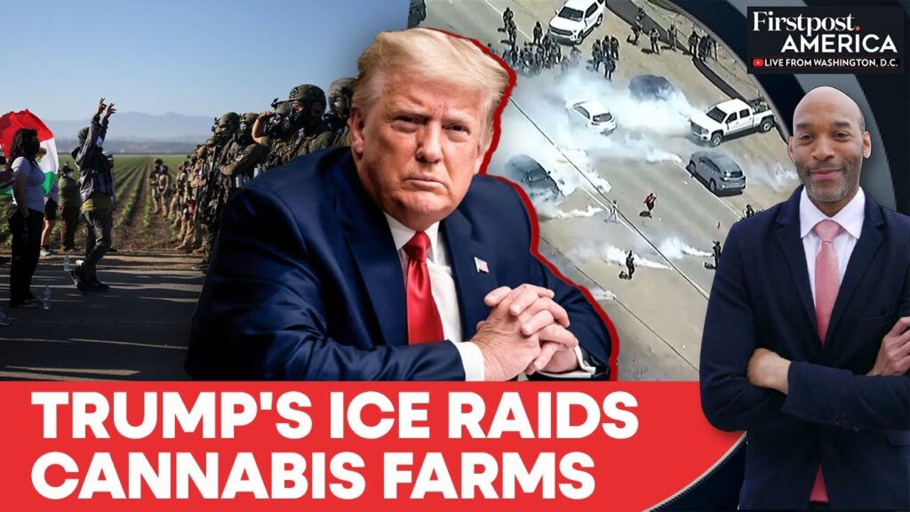 California: Trump’s ICE Raids Target Cannabis Farmworkers | Firstpost America | N18G