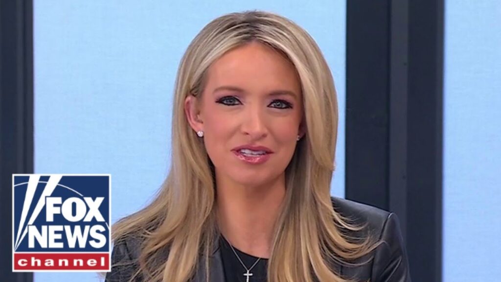 McEnany: Do Democrats REALLY care about ‘democracy’?