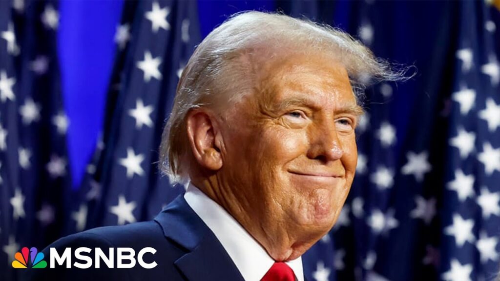 ‘A long and sad story’: How we got to Trump’s 2024 victory