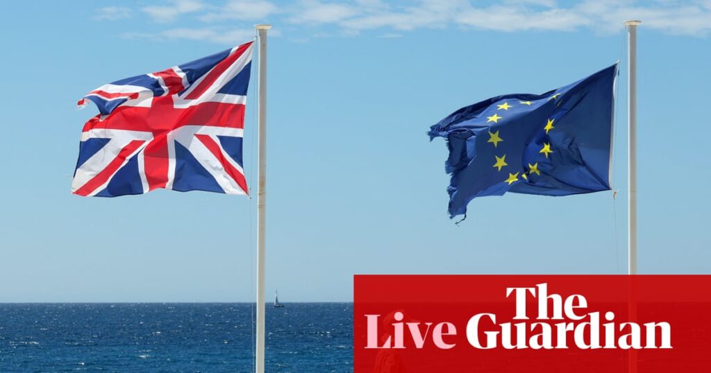 Tories and Reform offer only ‘easy answers and snake oil’ on UK-EU relationship, minister warns – UK politics live | Politics