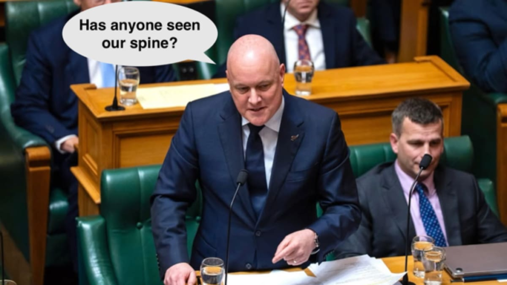Greg Dixon’s Another Kind of Politics: Worldwide search begins for National Party’s spine