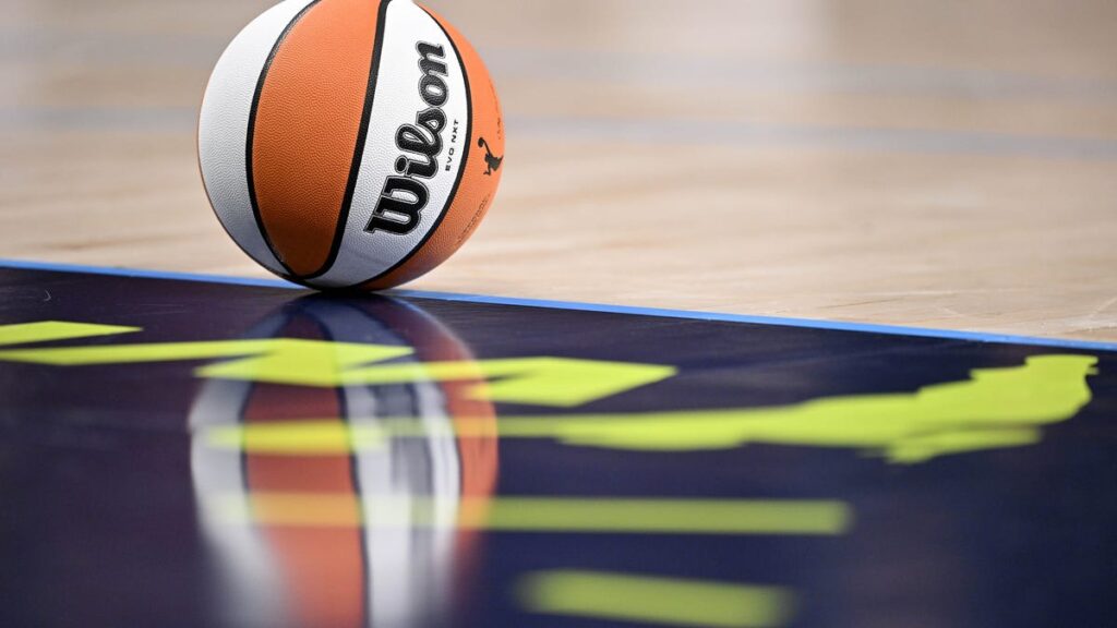 WNBA isn’t first sports league to have sex toys thrown at games
