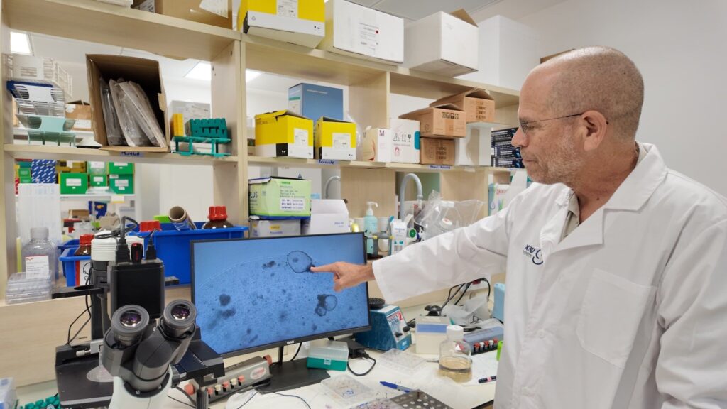 In a world breakthrough, Israeli researchers grow first long-term human kidney in lab