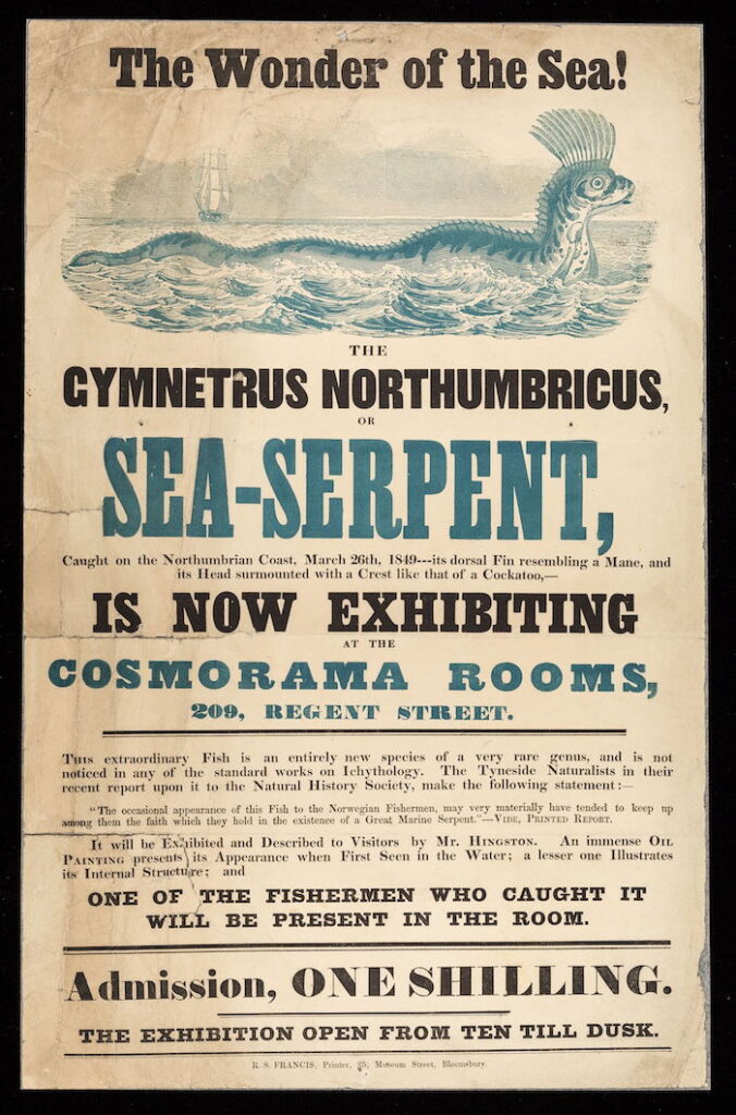 When Summer Meant Sea Serpents