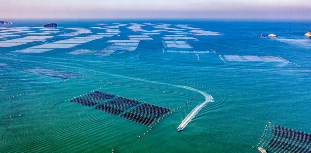 Marine climate interventions can have unintended consequences – we need to manage the risks