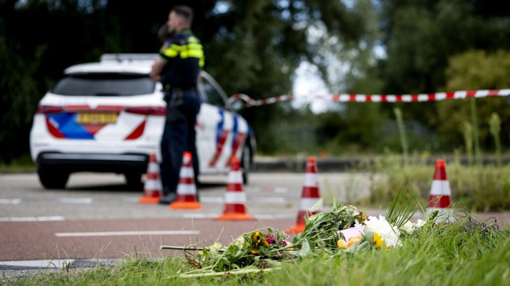 Girl, 17, stabbed to death ‘while being followed on way home’ as asylum seeker ‘who raped woman days earlier’ arrested