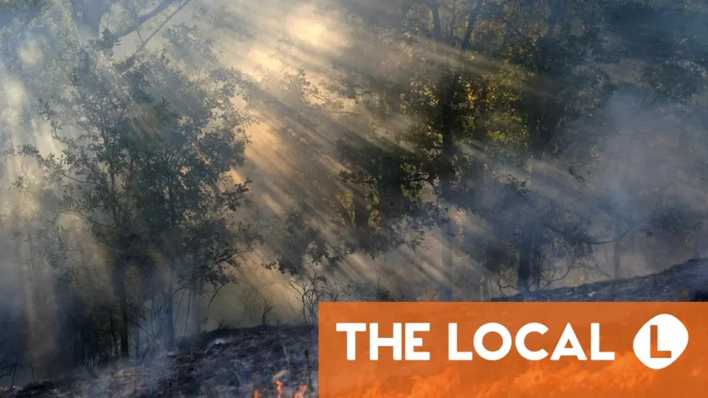 Spain declares wildfire-hit areas disaster zones
