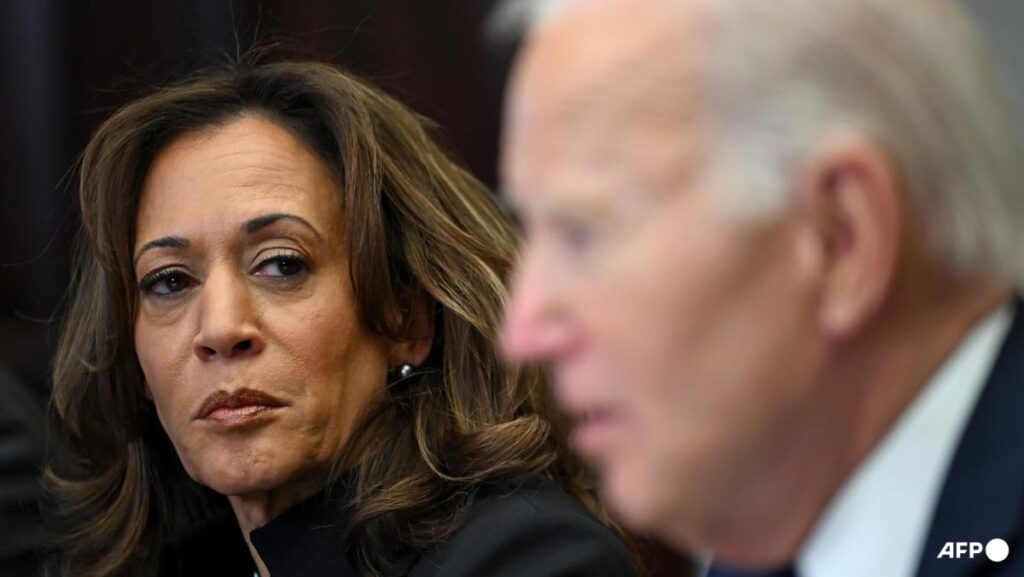 Harris slams Biden 2024 re-election bid as ‘recklessness’