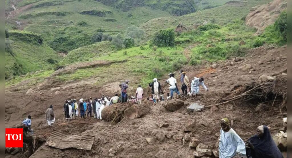 Sudan landslide: 100 bodies recovered in Darfur; over 1,000 feared dead as village wiped out | World News