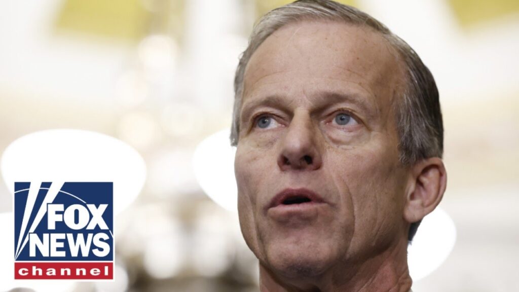 Sen. Thune vows to be ‘team player’ in first remarks as Senate majority leader-elect