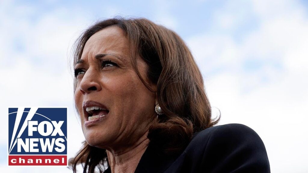 ‘Nothing to show for it’: Harris’ billion-dollar campaign accrues  million in debt