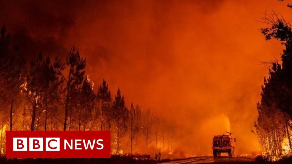 France wildfire forces thousands to flee – BBC News