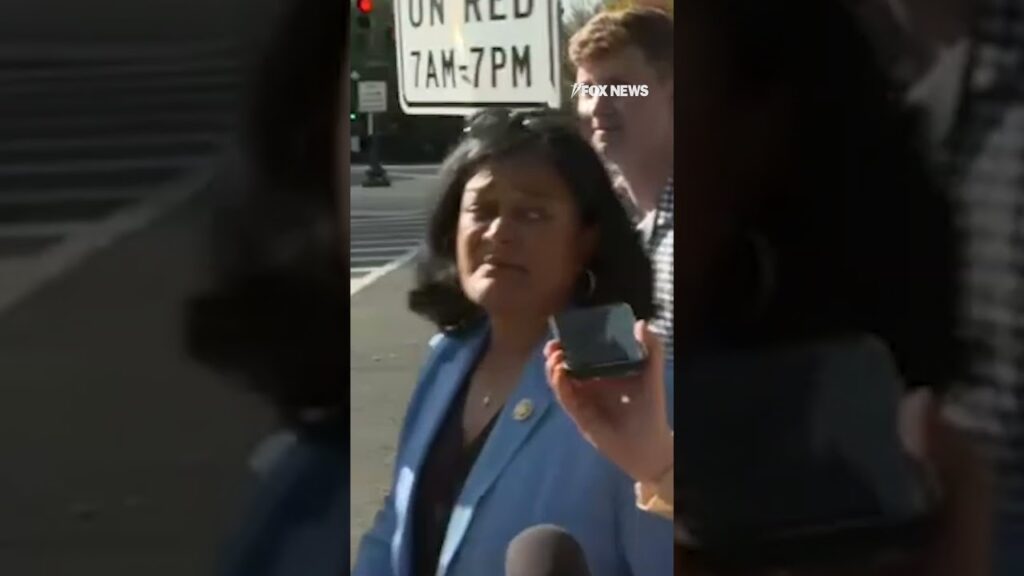 Rep. Pramila Jayapal (D-WA) fires back at accusations progressives are to blame for election loss